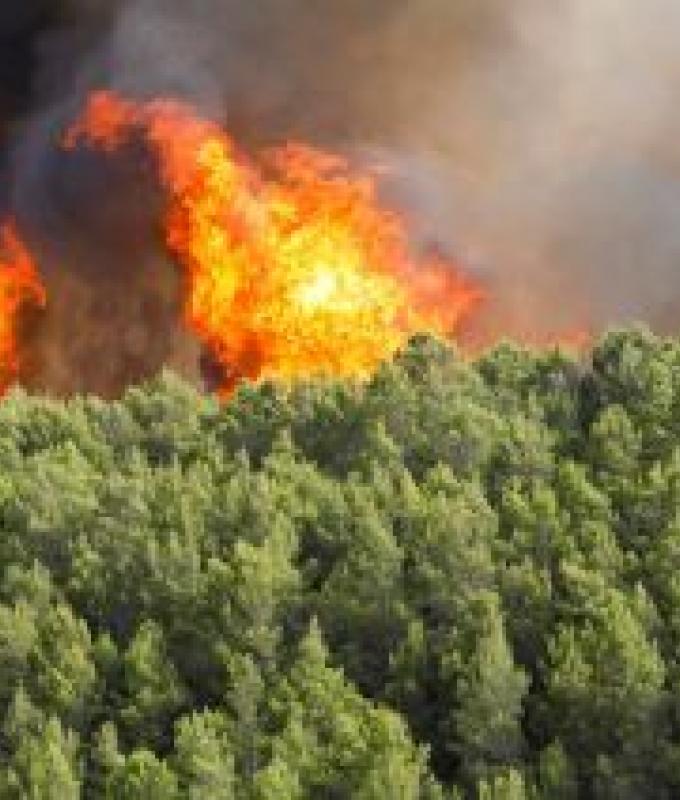 Petrosino. Rinnovata l’ordinanza sindacale di prevenzione incendi (in vigore dal 15 maggio al 31 ottobre 2024). – .