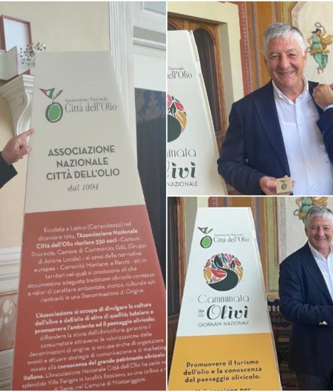 Sviluppo della filiera dell’olio d’oliva a San Demetrio Corone. Incontro presso l’Associazione Nazionale “Città dell’Olio” – .