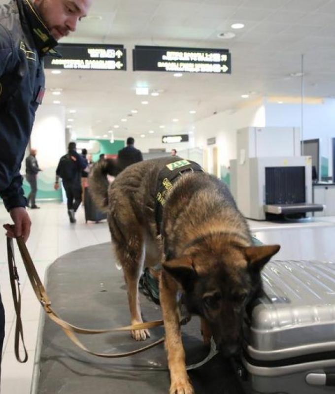 Una pistola nel bagaglio a mano, aeroporto di Bologna in tilt per oltre un’ora. Ma l’allarme si rivela infondato – .