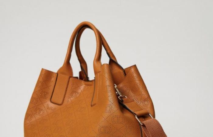 Tote Bag, 5 borse super cool da indossare tutti i giorni – .