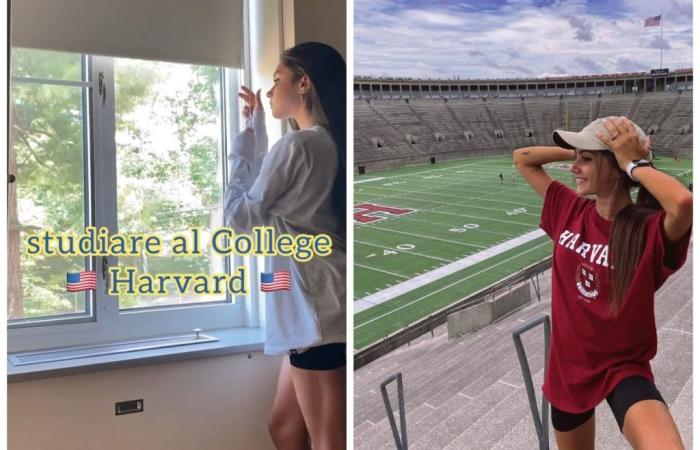 Chi è Chiara Casadei, la ragazza di Harvard? Tutte le informazioni! – .