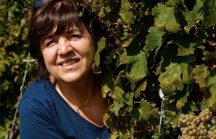la signora del Greco – Luciano Pignataro Wine Blog – .