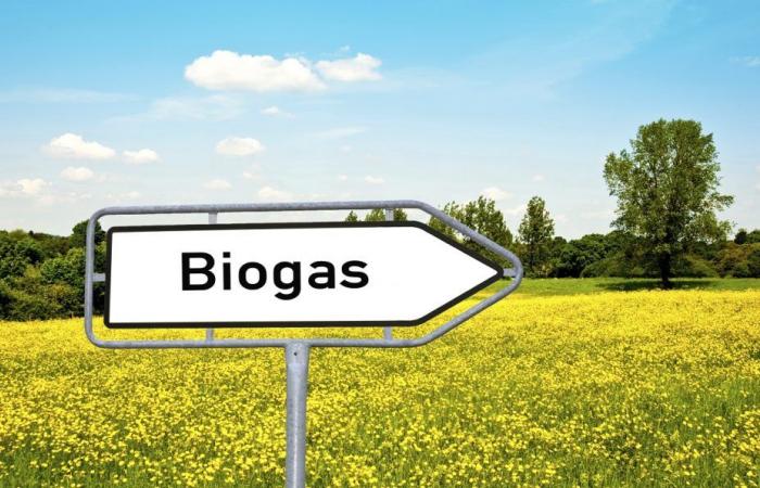 Biogas, ripartono dal Piemonte i Cib Farming Days. Porte aperte al futuro dell’agricoltura