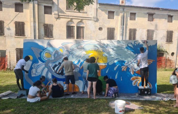 Il Wallà a Treviso, un progetto pilota per salvare la street art dall’oblio del tempo – .