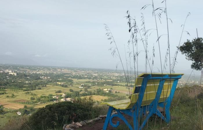 Le panchine giganti del Lazio per un selfie, ma soprattutto per godersi panorami fantastici – .