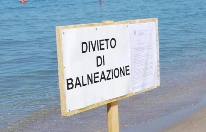 Contaminazione fecale nelle acque del Friuli Venezia Giulia. Smettere di nuotare e consumare crostacei – PrimaFriuli – .