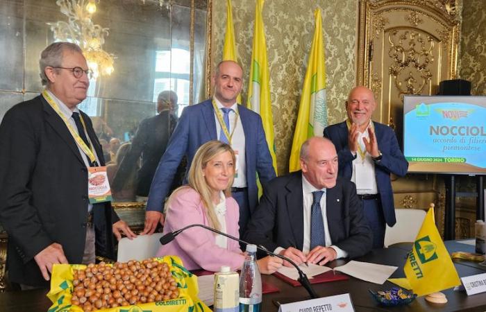 Firmato l’accordo quadro per valorizzare la nocciola Piemonte – .