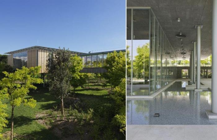 Renzo Piano presenta il nuovo hospice pediatrico sospeso nel verde. “La mia sfida più difficile” – .