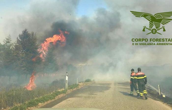 Oggi in Sardegna 19 incendi: elicotteri in azione