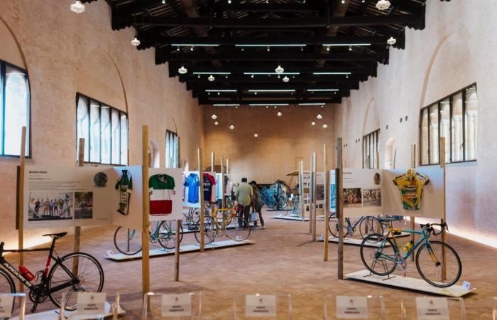 Inaugurata ufficialmente con i campioni di ieri e di oggi la mostra ‘Faenza, Faïence, le biciclette verso il Tour de France’ – .