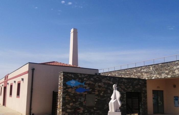 Festival Sardegna Archeo, due tappe al museo della tonnara di Stintino – .