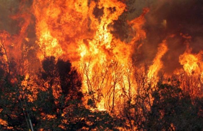 Frosinone – Incendi, vertice in Prefettura – Tu News 24 – .
