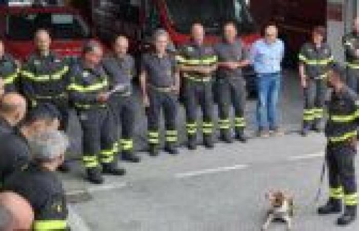 Cane pompiere in pensione, Prato onora Foglia – .
