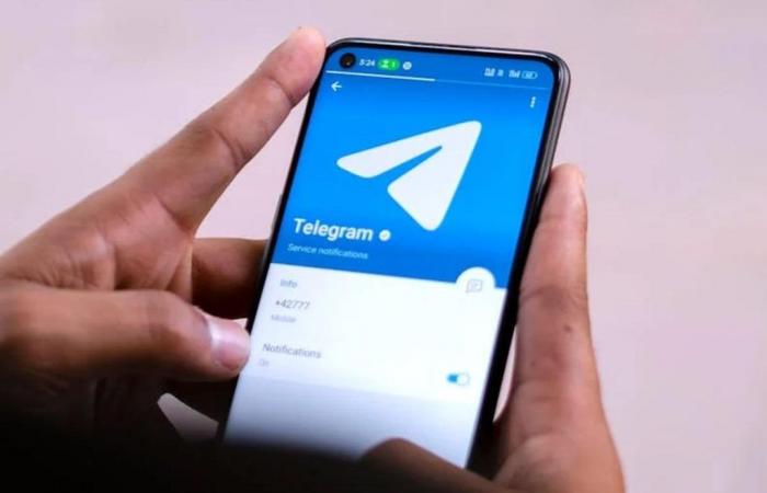 Telegram, lo scandalo dei documenti privati ​​venduti sulla piattaforma semina il panico tra gli utenti