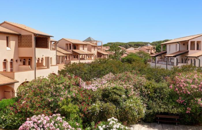 Garden Toscana Resort, un’oasi di natura e benessere sulla Costa degli Etruschi – .