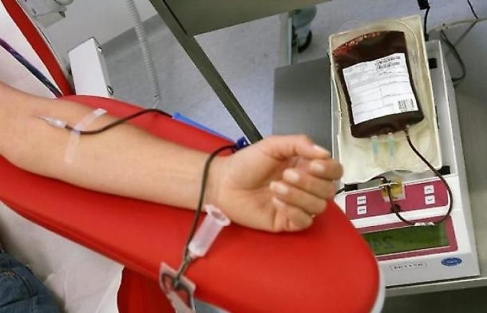 Donazione sangue, raccolte in Molise circa 11mila sacche – .