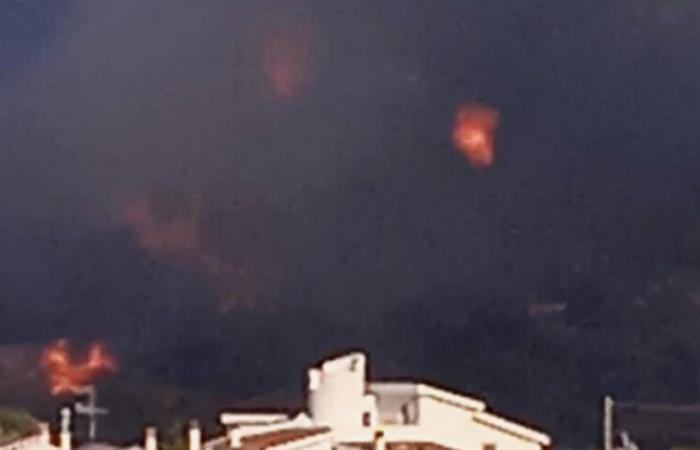 Collina in fiamme a Corigliano Rossano, l’incendio ha minacciato il cimitero – .