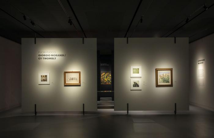 La mostra dedicata a Michelangelo Antonioni da visitare adesso – .