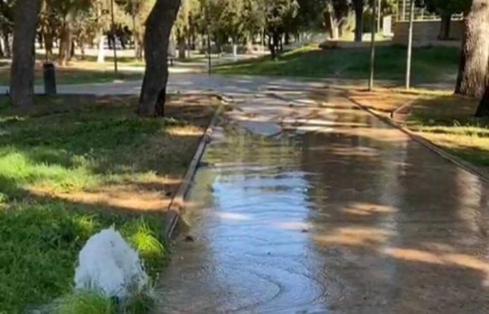 Atti vandalici all’impianto di irrigazione della villa, ancora uno spreco di denaro pubblico – .