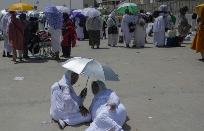 Temperature vicine ai 50° in Arabia Saudita, almeno 19 pellegrini morti sulla strada verso La Mecca.