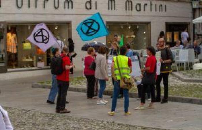 Attivisti di Extinction Rebellion in azione a Udine per sensibilizzare sulle questioni climatiche e non solo – Friulisera – .