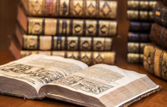 Protocollo Enea per la conservazione dei libri antichi – .