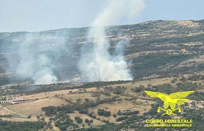 Oltre 400 incendi dall’inizio dell’anno in Sardegna