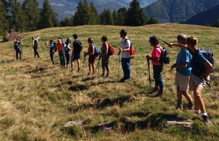 Un’estate da vivere in compagnia delle Guide Alpine della Lombardia – .