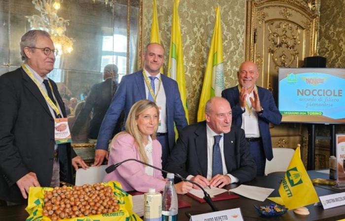 Coldiretti e Novi firmano l’accordo quadro per una filiera tutta territoriale – Ieri Oggi Domani – .