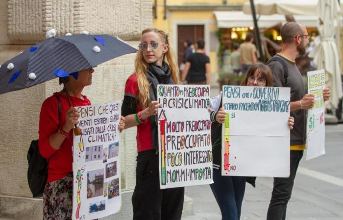 il corteo degli attivisti per il clima in piazza a Udine – .
