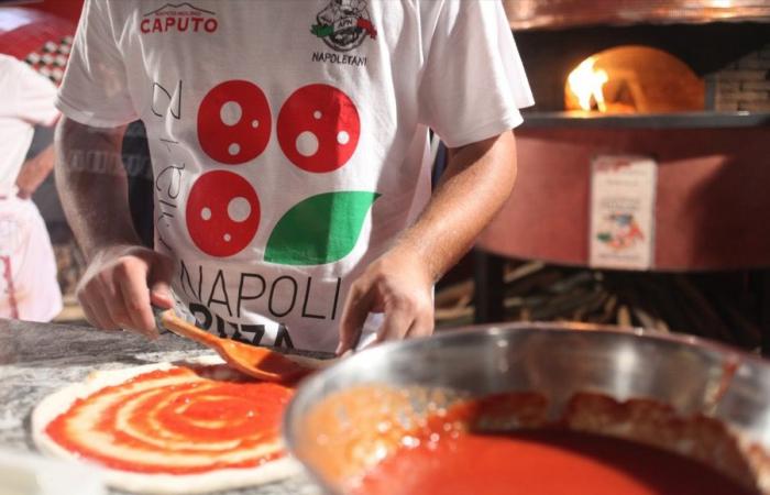 Gli artisti delle 10 grandi serate al Napoli Pizza Village 2024 – .