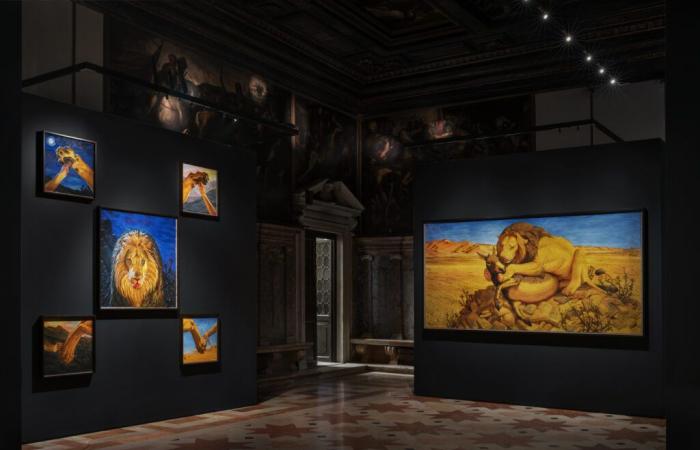 Ford e il suo leone ritrovano Tintoretto all’Ateneo Veneto – .