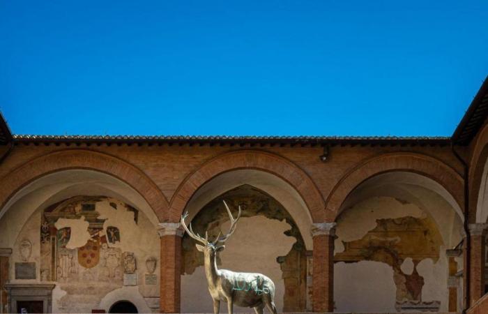 Al via “La linea sottile dell’Umbria”. L’arte di Merz apre l’estate culturale – .