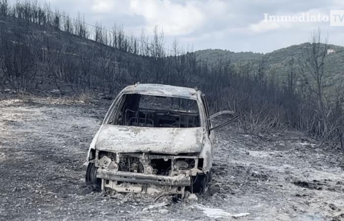 Incubo di incendi boschivi, la polizia forestale è pronta alla campagna per contrastare il fenomeno – .