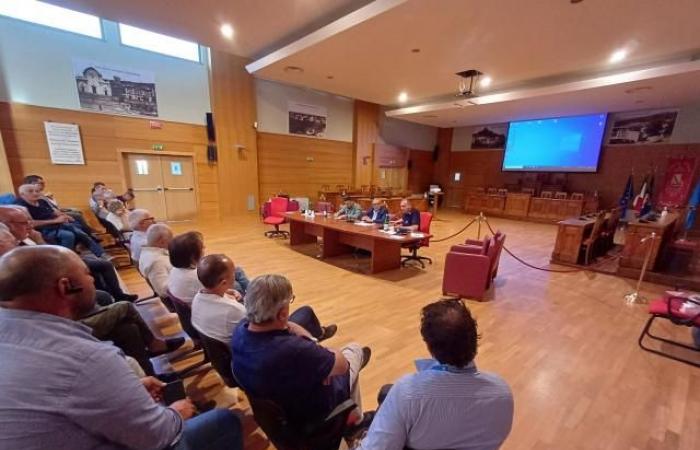 Nuova PAC e olivicoltura, interessante incontro organizzato da Acroprol – .