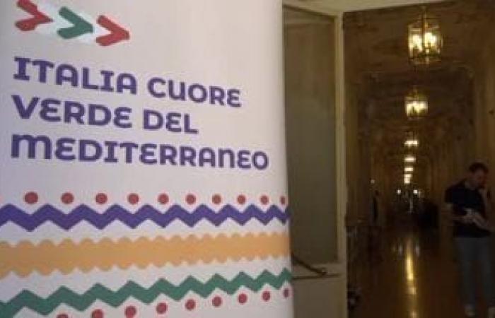 Piano Mattei e riciclo, protagonista l’Italia nel Mediterraneo – .