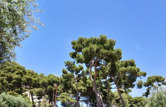 Bari accoglie un nuovo spazio verde, ecco il parco Bonomo in via Amendola – .