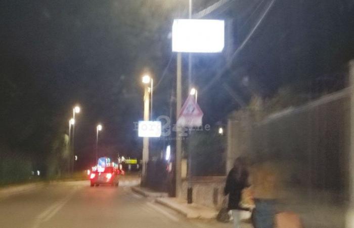 Bari, turisti a piedi dall’aeroporto anche di notte: “Pochi trasporti” – .