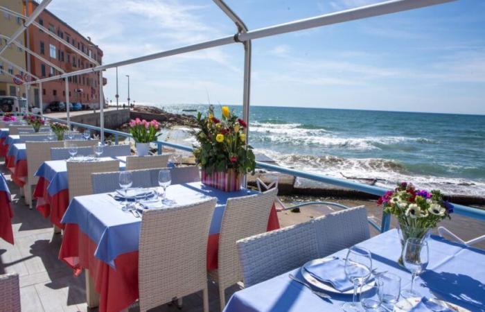 Dove mangiare ad Anzio, i ristoranti da non perdere sul litorale romano – .
