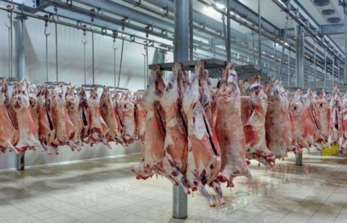 A maggio i prezzi della carne suina tornano a salire – .