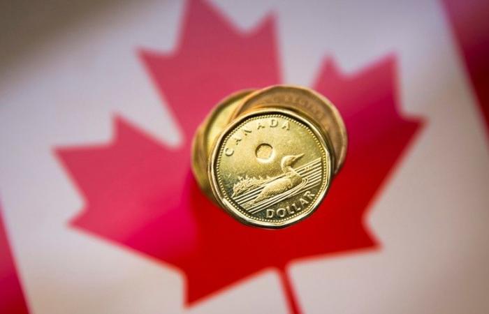 DEBITO FX CANADA-C$ in rialzo; Le scommesse ribassiste sulla valuta raggiungono il massimo storico – .