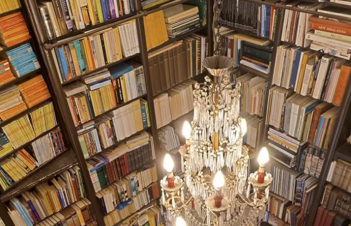 una magica libreria a Palermo, ai piedi di un campanile – .