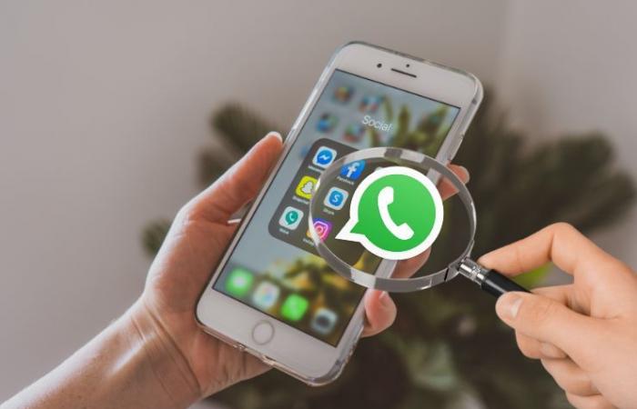 Whatsapp pronto a dire addio agli screenshot: cosa succede – .
