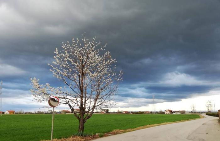 Le previsioni meteo in provincia di Cuneo da lunedì 17 a mercoledì 19 giugno – .