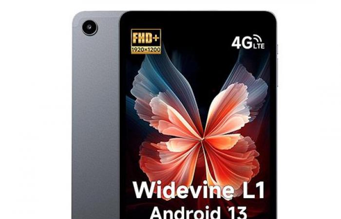 Utenti Prime, a 75€ c’è un tablet da 8,4″ Full HD e anche LTE, e non è l’unico ad un prezzo super! – .