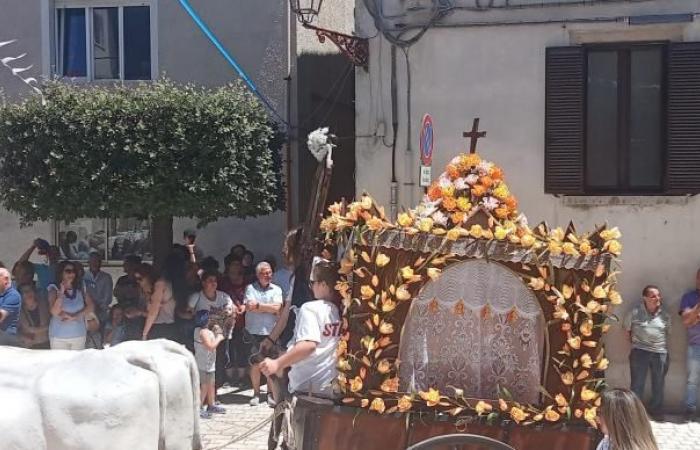 la Festa delle Cisterne a Montecilfone – .