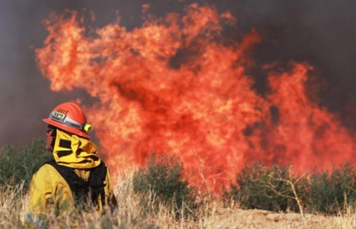 La California brucia di nuovo, da “Post” a “Max” c’è di nuovo l’allarme antincendio – .