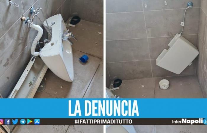 Raid vandalico a Casoria, distrutti i bagni appena installati nel Parco Michelangelo – .