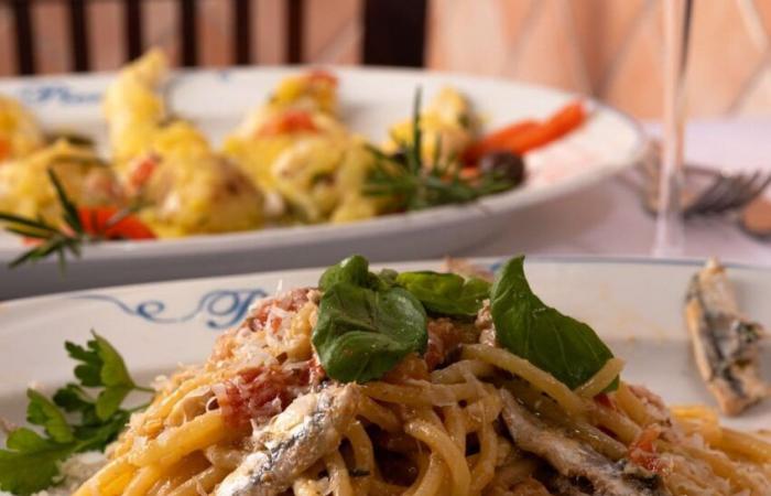 Dove mangiare ad Anzio, i ristoranti da non perdere sul litorale romano – .
