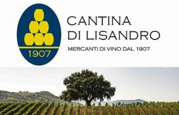 Il mondo del vino, AIS Caserta laurea 50 nuovi sommelier – .